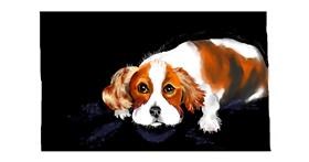 Drawing of Dog by DebbyLee