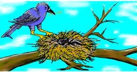 Drawing of Nest by Swimmer 