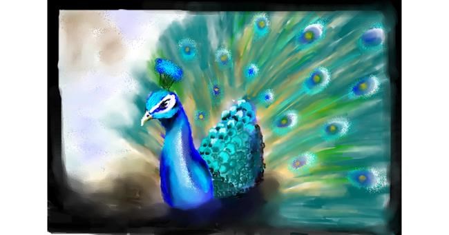 Drawing of Peacock by 🌏rhythm💐