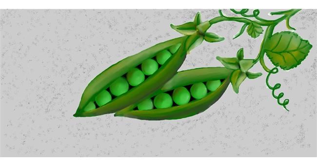 Erbsen-Zeichnung von Sunzee