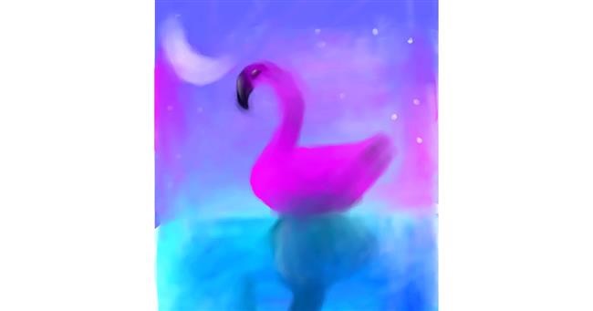 Flamingo - autor: Dibujante