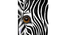 Zebra - autor: GreyhoundMama