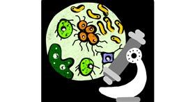 Drawing of Bacteria by Neha