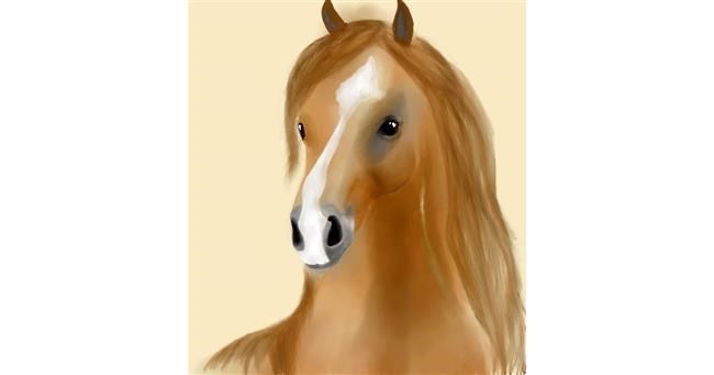 Drawing of Horse by MEL