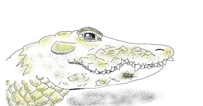 Aligator - autor: Tiny🍒