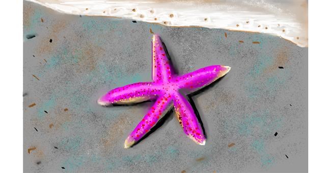 Drawing of Starfish by Herbert