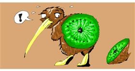 Drawing of Kiwi fruit by jule