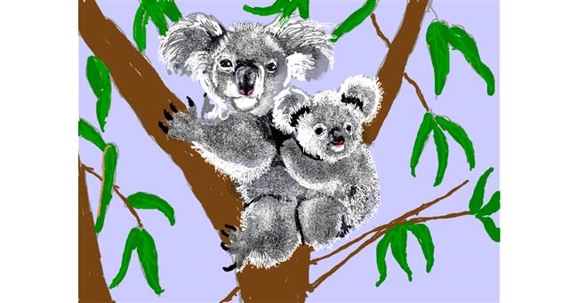 Koala - autor: SAM AKA MARGARET 🙄