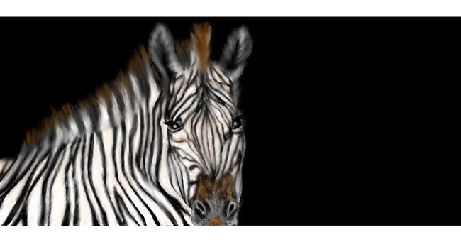 Zebra - autor: Chaching