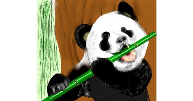 Bambus - autor: Yashi 🐢
