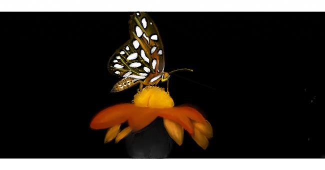 Schmetterling-Zeichnung von Chaching