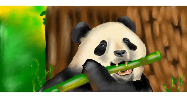 Panda - autor: Ani