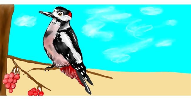 Drawing of Woodpecker by Shanthini