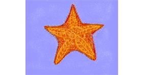 Drawing of Starfish by Cherri