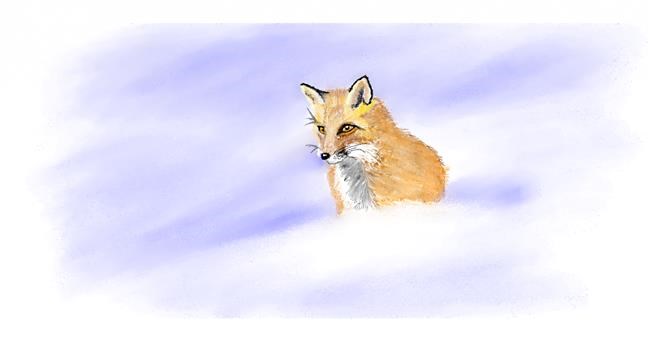 Drawing of Fox by Chaching