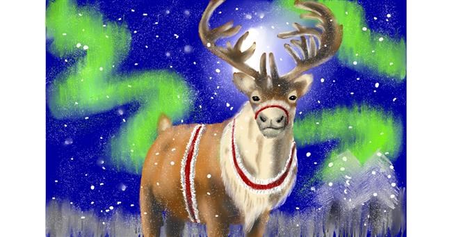 Drawing of Reindeer by Wizard