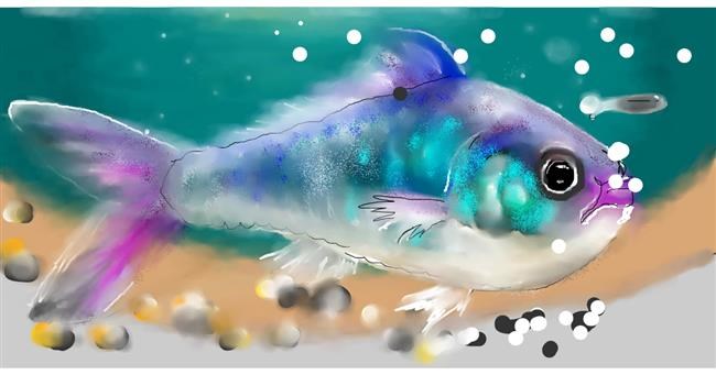 Drawing of Fish by Mandy Boggs