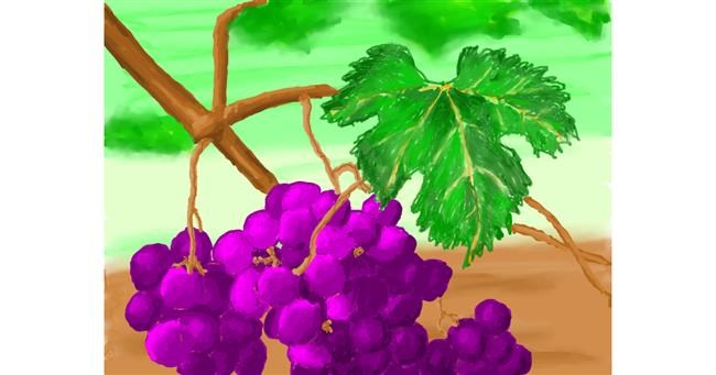 Drawing of Grapes by Beth