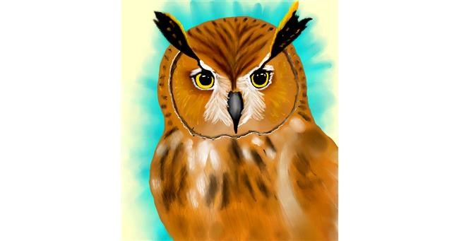 Drawing of Owl by MEL