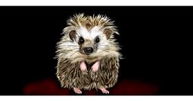 Drawing of Hedgehog by Chaching
