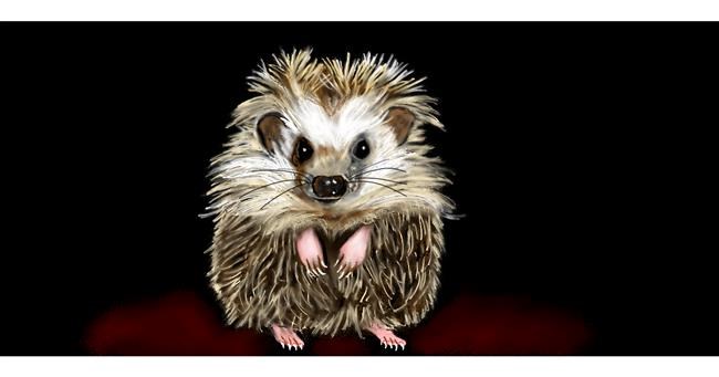 Drawing of Hedgehog by Chaching