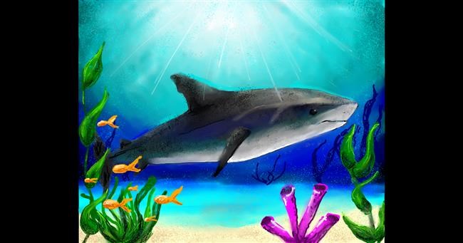 Drawing of Shark by Audrey