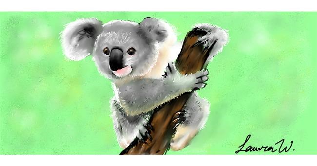 Drawing of Koala by laur@whaleums