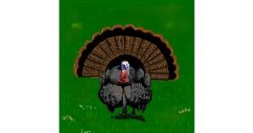 Drawing of Turkey by Joze