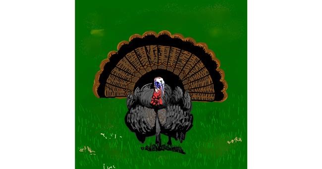 Drawing of Turkey by Joze