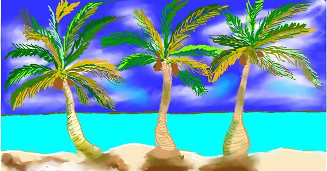 Drawing of Palm tree by Maggy