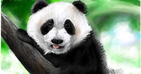 Panda - autor: Mia