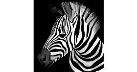 Zebra - autor: Lou