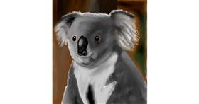 Drawing of Koala by Sala