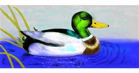 Drawing of Duck by Debidolittle