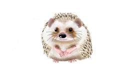 Drawing of Hedgehog by Andrea