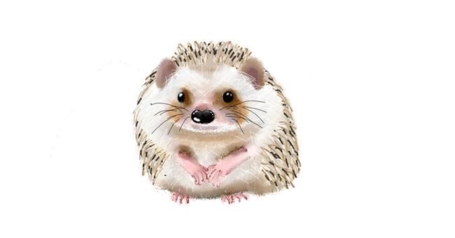 Drawing of Hedgehog by Andrea