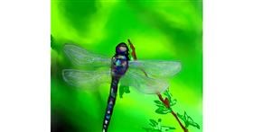 Drawing of Dragonfly by Nellie