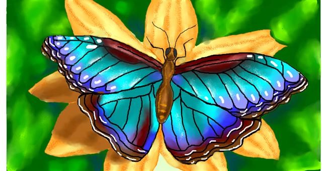 Schmetterling-Zeichnung von Lise