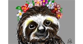 Drawing of Sloth by Unknown