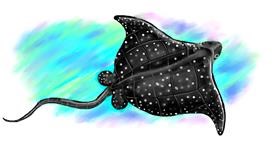 Drawing of Stingray by Debidolittle