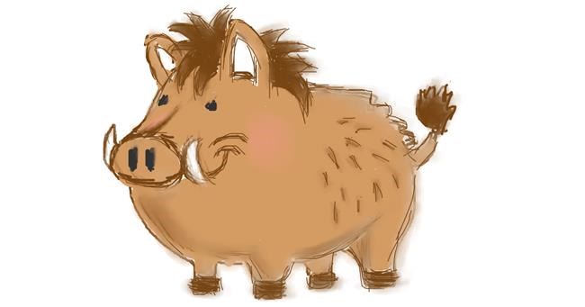 Drawing of Wild boar by InessA