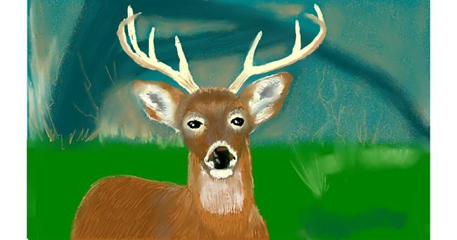 Jelen - autor: Tim