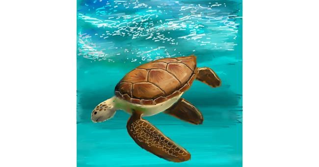 Drawing of Sea turtle by Andromeda