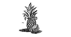 Drawing of Pineapple by SHADOW