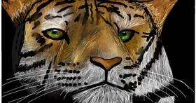 Tigar - autor: Mia