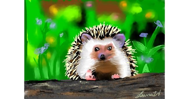 Drawing of Hedgehog by laur@whaleums