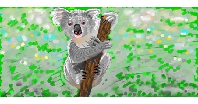 Koala - autor: shiNIN