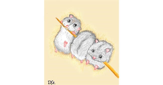 Drawing of Hamster by GreyhoundMama