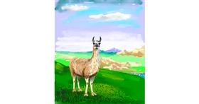 Drawing of Llama by Andromeda