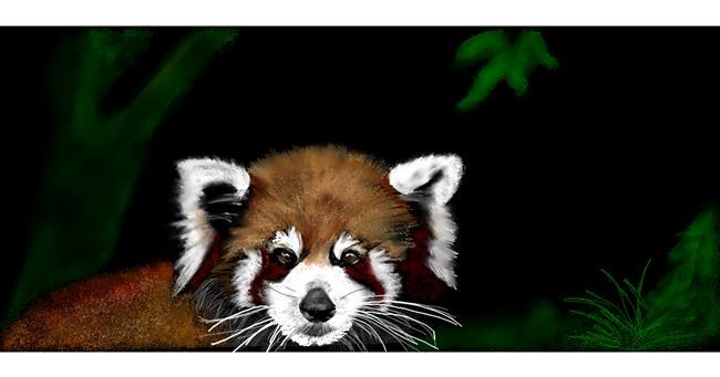 Drawing of Red Panda by Chaching